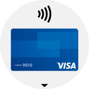Garmin Pay