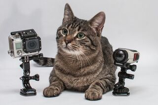 Обзор экшн-камер: Garmin VIRB vs GoPro HERO3