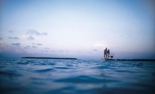 Выбираем эхолот Выбираем эхолот