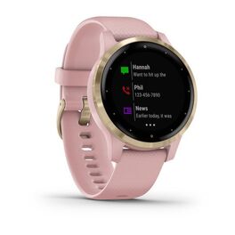 Смарт часы Garmin Vivoactive 4S розовые с золотистым безелем (010-02172-33) #2