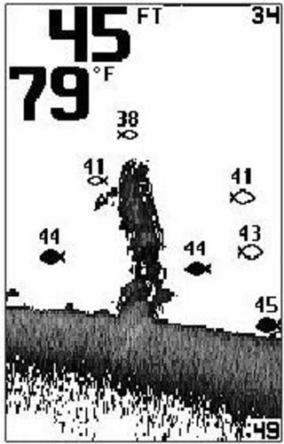 Зимой и летом – с эхолотом