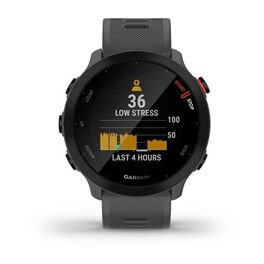 Спортивные часы Garmin Forerunner 55 GPS, Monterra Grey (010-02562-13) #4
