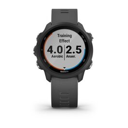 Спортивные часы Garmin Forerunner 245 GPS, Black/Slate (010-02120-10) #1