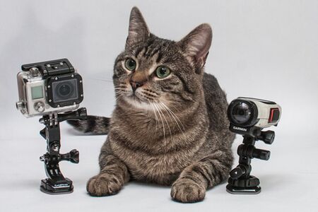 сравнение Garmin VIRB VS GoPro HERO 3 сравнение Garmin VIRB VS GoPro HERO 3