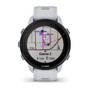 Спортивные часы Garmin Forerunner 955 GPS, Solar, White (010-02638-21) #3