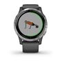 Смарт часы Garmin Vivoactive 4 серые с серебристым безелем (010-02174-03) #5 Смарт часы Garmin Vivoactive 4 серые с серебристым безелем (010-02174-03) #5