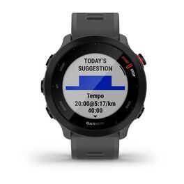 Спортивные часы Garmin Forerunner 55 GPS, Monterra Grey (010-02562-13) #7