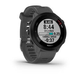 Спортивные часы Garmin Forerunner 55 GPS, Monterra Grey (010-02562-13) #1