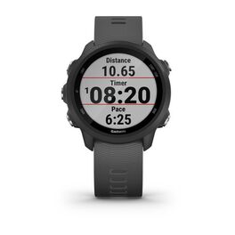 Спортивные часы Garmin Forerunner 245 GPS, Black/Slate (010-02120-10) #2