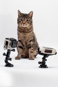 обзор VIRB VS GoPro обзор VIRB VS GoPro