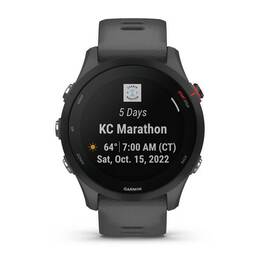 Спортивные часы Garmin Forerunner 255, GPS, серый (010-02641-10) #5