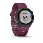 Спортивные часы Garmin Forerunner 245 GPS, Black/Merlot (010-02120-11) #1