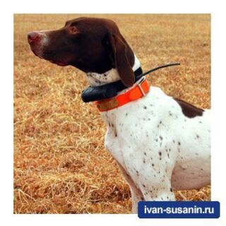 Garmin Astro 220 - навигатор с системой слежения за охотничьими собаками