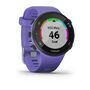 Спортивные часы Garmin Forerunner 45 GPS, Iris, малый размер (010-02156-11) #1 Спортивные часы Garmin Forerunner 45 GPS, Iris, малый размер (010-02156-11) #1