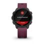 Спортивные часы Garmin Forerunner 245 GPS, Black/Merlot (010-02120-11) #3